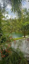 Cove Drive (D4), Detached #457031791